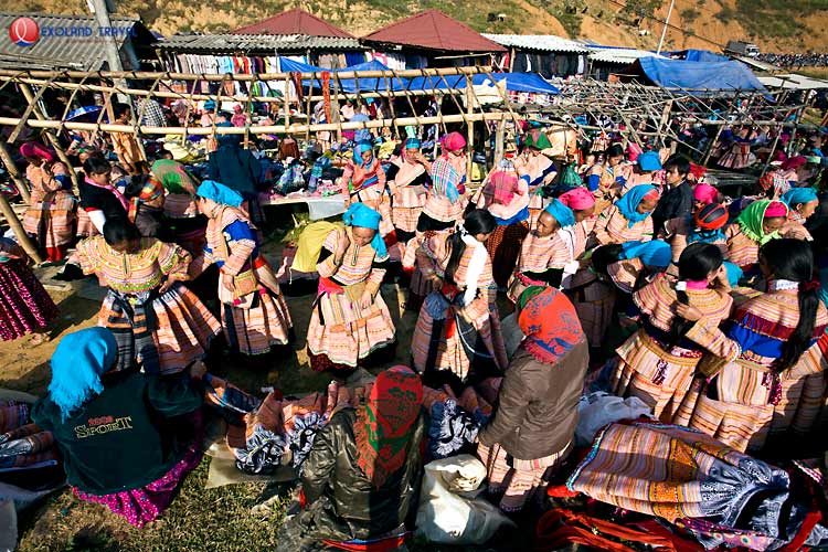 région Bac Ha, ethines Bac Ha, rizières en terrasse Bac Ha